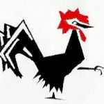 Coffee Gallo